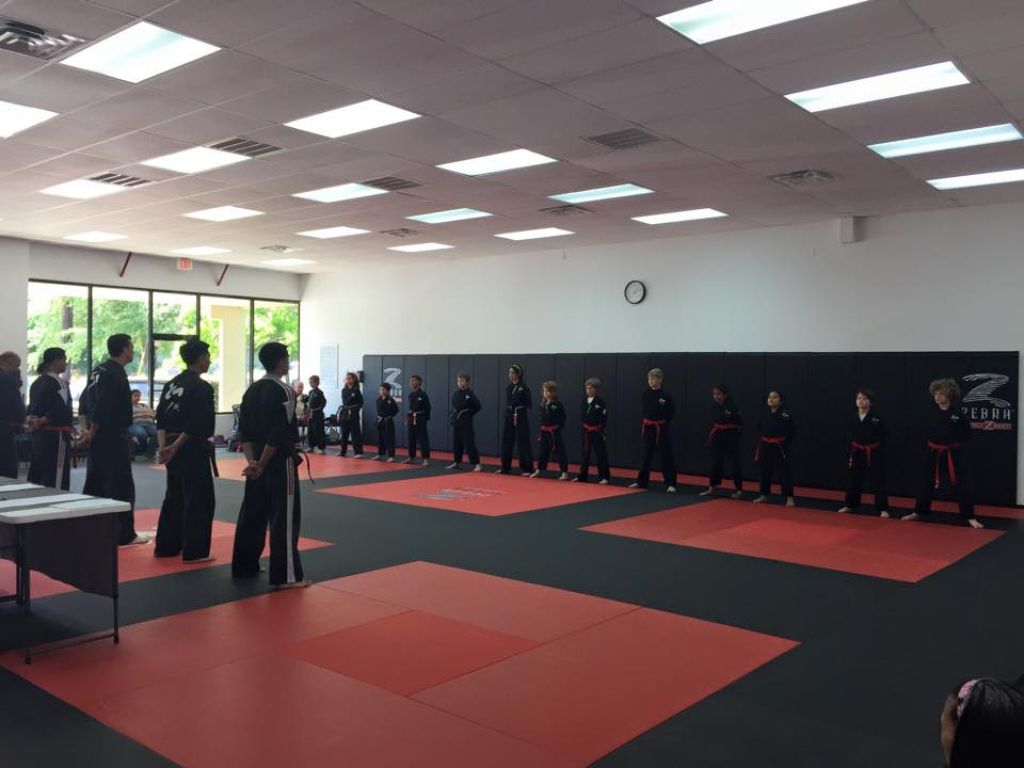 Elite Martial Arts 1