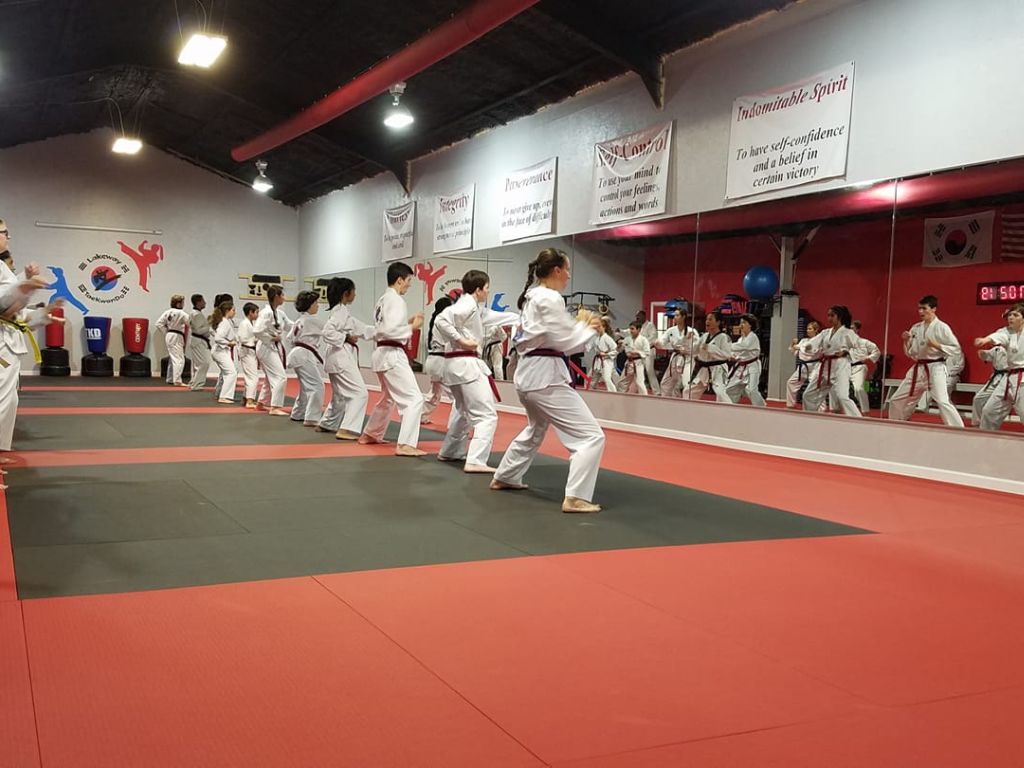 Lakeway Taekwondo 1